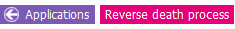 ex2.png