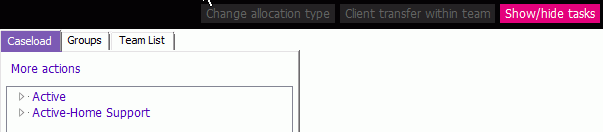 TeamCareloadtoolbar2.gif
