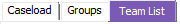 TeamListTab.png