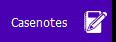 casenotes.png