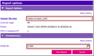 report options.png