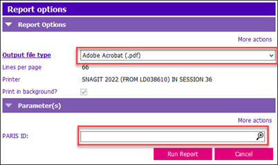 report options1.png