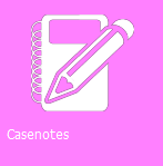 casenotes2.png